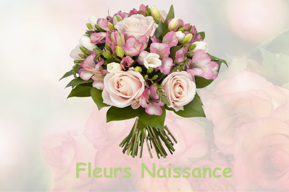 fleurs naissance DIMANCHEVILLE