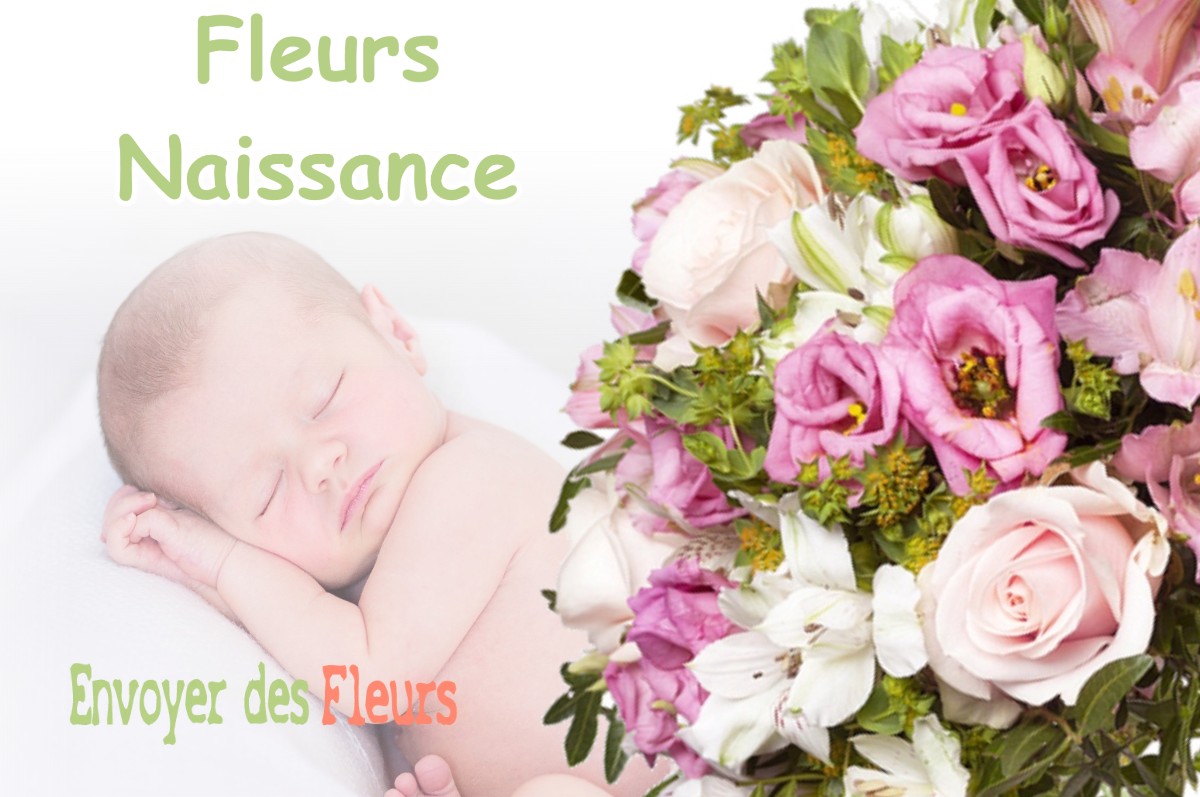 lIVRAISON FLEURS NAISSANCE à DIMANCHEVILLE